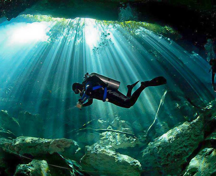 Дайвинг Deep Dive Dubai в Дубаи: Дайвинг, Плавание, Рыбы, Fish, Diving, Swimming,