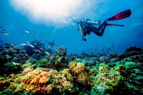Дайвинг Drar, diving center  в  Дубаи