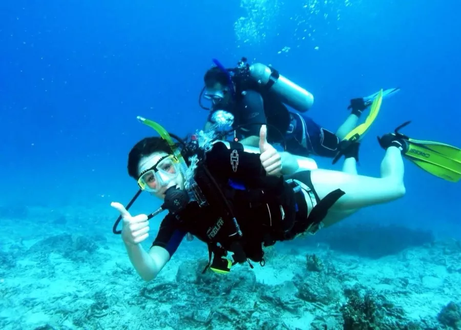 Дайвинг Drar, diving center в Дубаи: Дайвинг, Плавание, Рыбы, Fish, Diving, Nature,