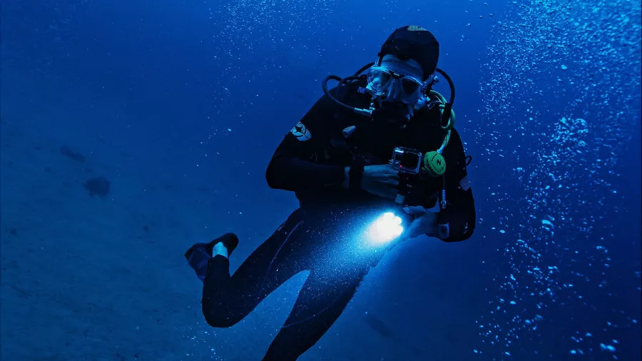 Дайвинг Drar, diving center в Дубаи: Дайвинг, Плавание, Рыбы, Fish, Diving, Nature,