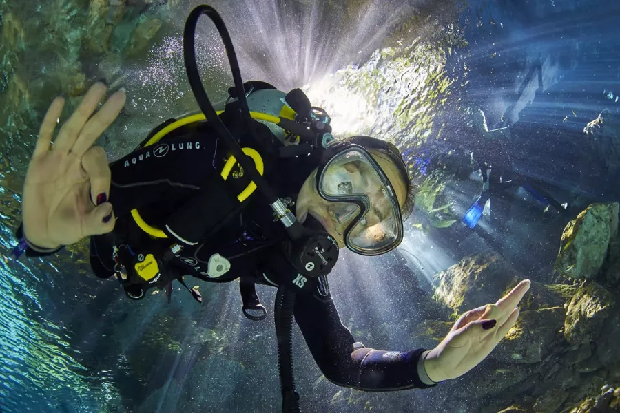 Дайвинг Interdive Diving Service в Дубаи: Дайвинг, Плавание, Рыбы, Fish, Diving, Nature,