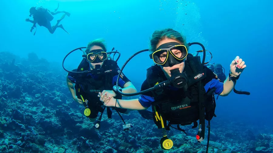 Дайвинг Interdive Diving Service в Дубаи: Дайвинг, Плавание, Рыбы, Fish, Diving, Nature,