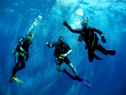 Дайвинг "Interdive Diving Service"