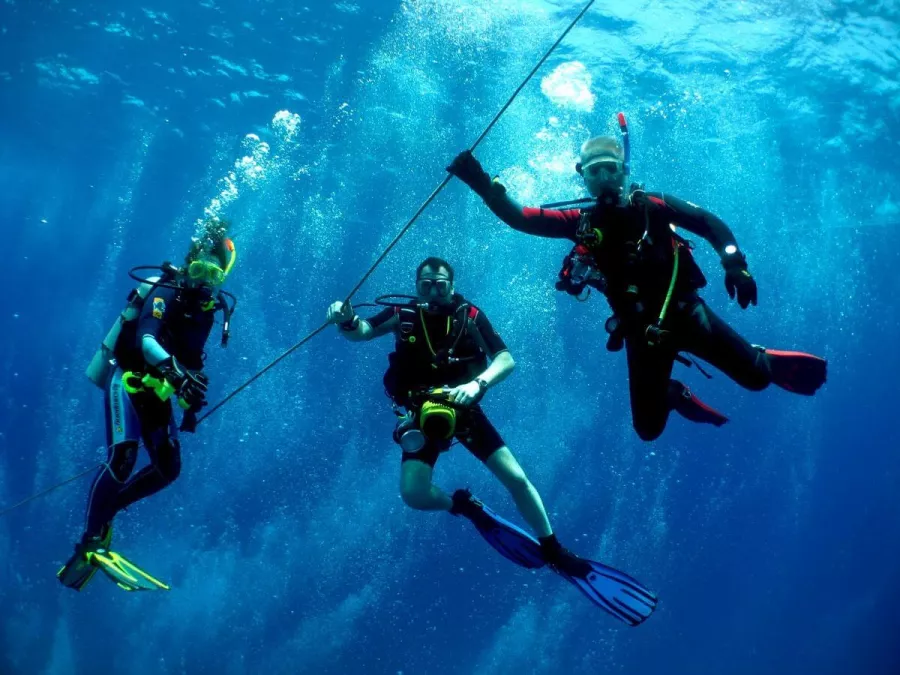 Дайвинг Interdive Diving Service в Дубаи: Дайвинг, Плавание, Рыбы, Fish, Diving, Nature,