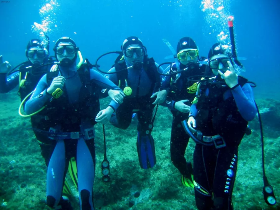 Дайвинг Interdive Diving Service в Дубаи: Дайвинг, Плавание, Рыбы, Fish, Diving, Nature,