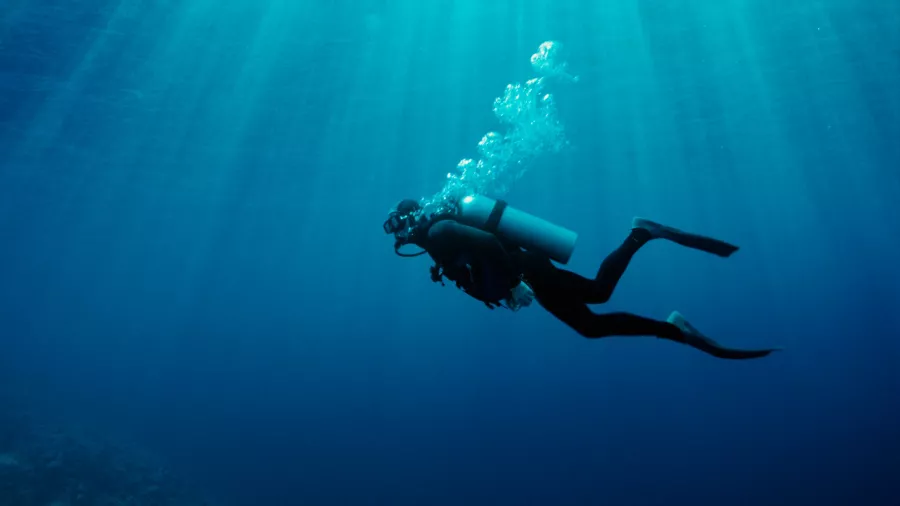 Дайвинг Dive Zone в Дубаи: Дайвинг, Плавание, Рыбы, Fish, Diving, Nature,