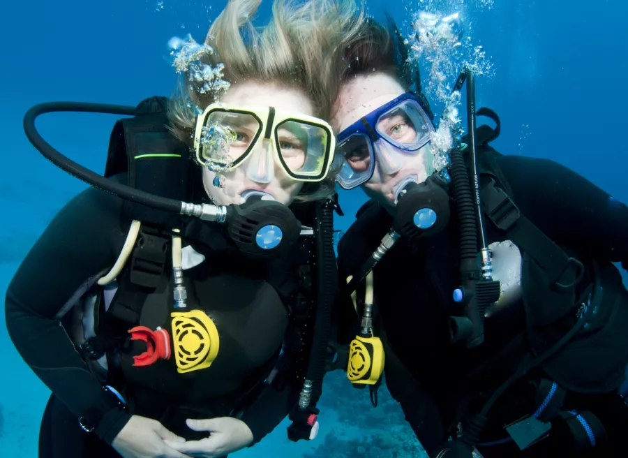 Дайвинг Dive Zone в Дубаи: Дайвинг, Плавание, Рыбы, Fish, Diving, Nature,