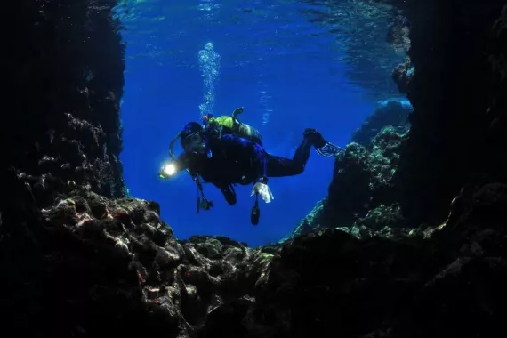Дайвинг "Dive Zone"