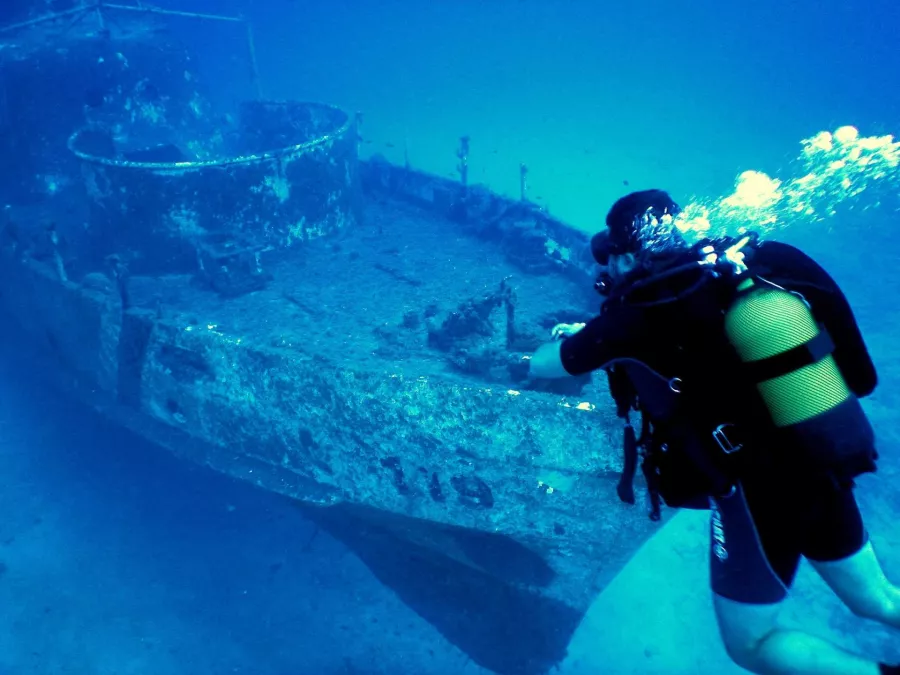 Дайвинг Desert Sports Diving Club в Дубаи: Дайвинг, Плавание, Рыбы, Fish, Diving, Nature,