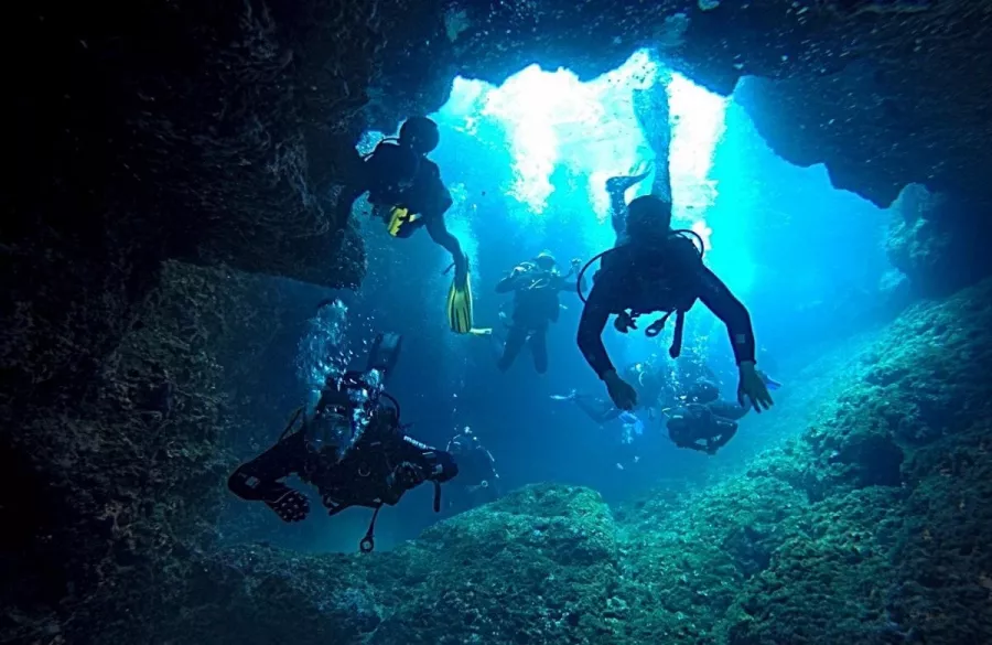 Дайвинг Desert Sports Diving Club в Дубаи: Дайвинг, Плавание, Рыбы, Fish, Diving, Nature,