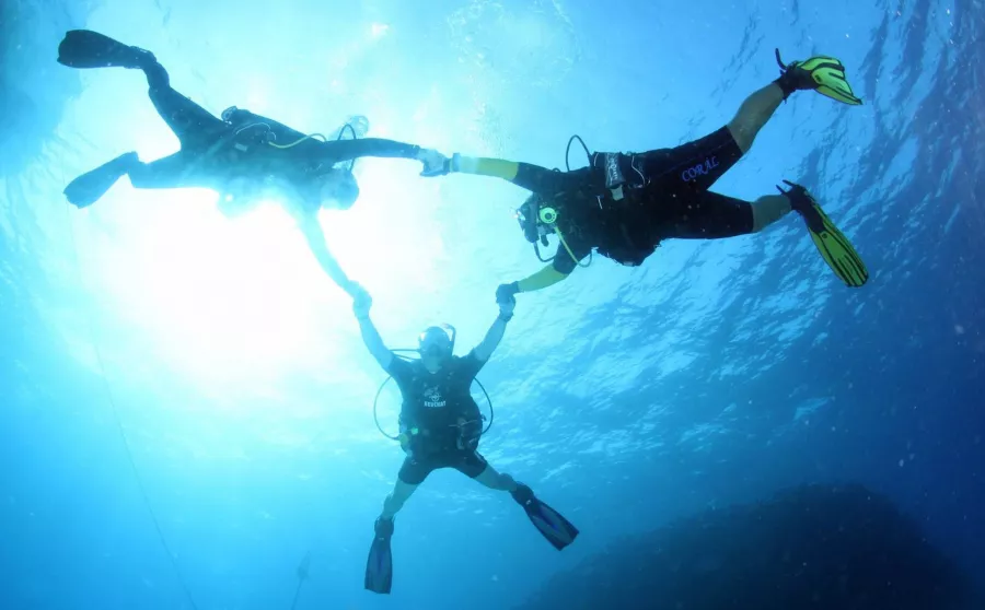 Дайвинг Desert Sports Diving Club в Дубаи: Дайвинг, Плавание, Рыбы, Fish, Diving, Nature,