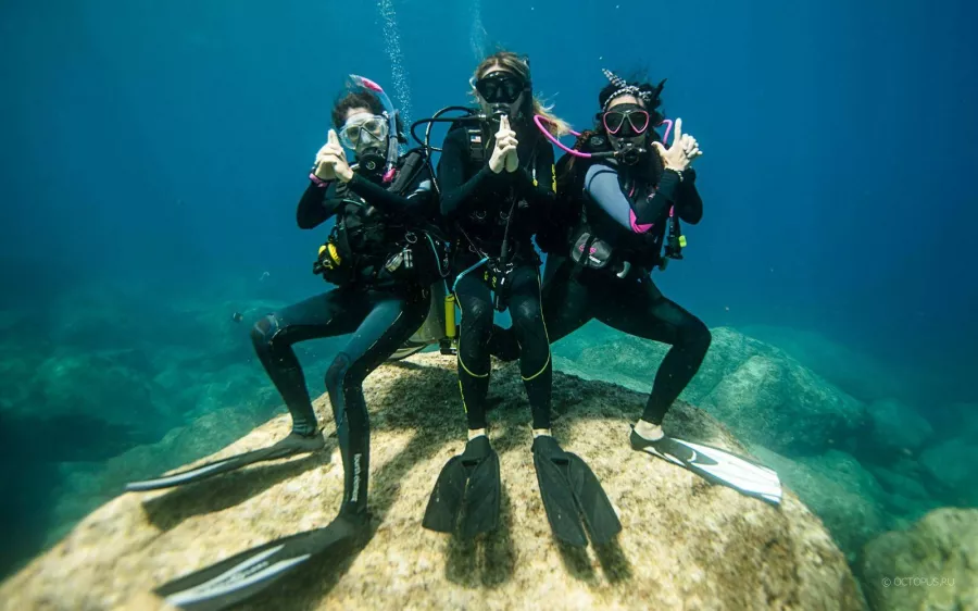 Дайвинг Desert Sports Diving Club в Дубаи: Дайвинг, Плавание, Рыбы, Fish, Diving, Nature,