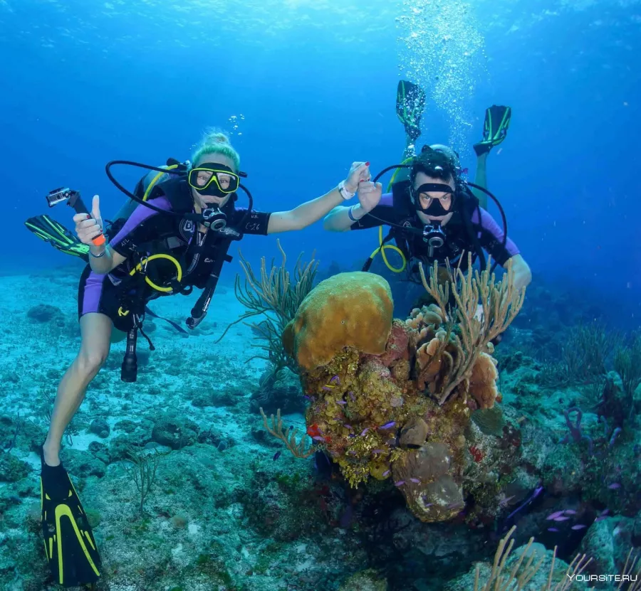 Дайвинг Seven Seas Diving Services в Дубаи: Дайвинг, Плавание, Рыбы, Fish, Diving, Nature,