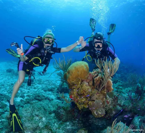 Дайвинг Seven Seas Diving Services  в  Дубаи