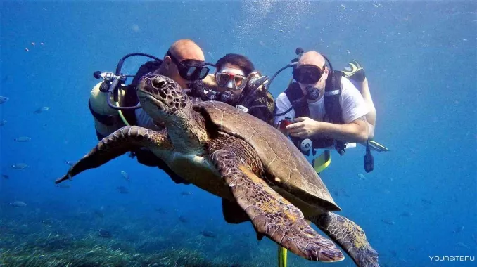 Дайвинг "Seven Seas Diving Services"