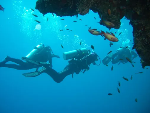 Дайвинг "Seven Seas Diving Services"