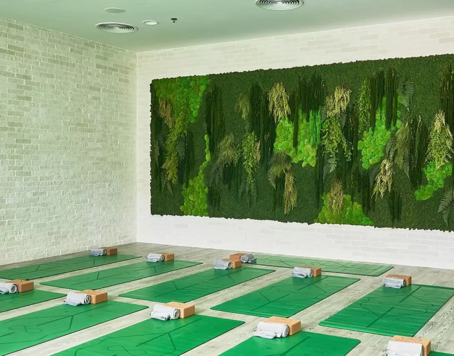 Йога Shimis Yoga в Дубаи: Йога, Пилатес , Шпагат , Растяжка , Гибкость , Развиваться, Следить за здоровьем,