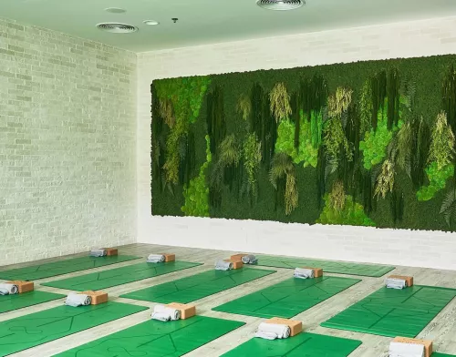 Йога Shimis Yoga  в  Дубаи
