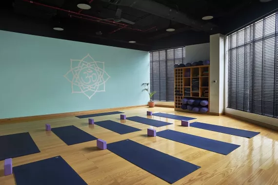 Йога «Zoga Yoga Cafe»