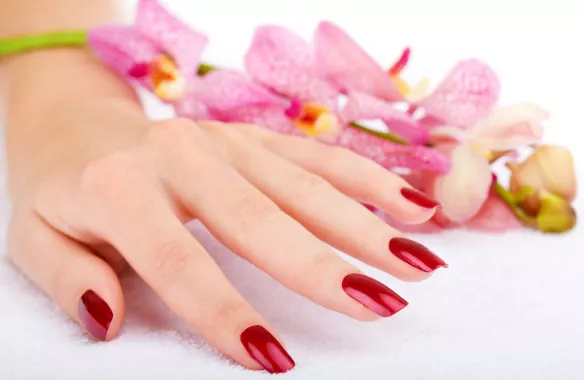 Салон красоты "Alvin Salon"