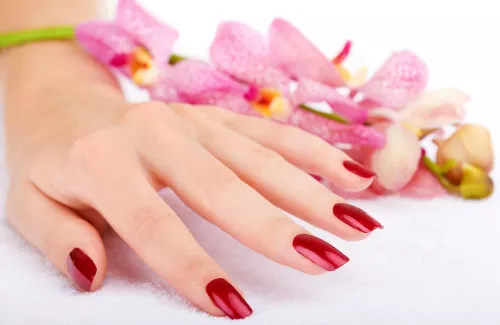 Салон красоты Alvin Salon  в  Бали
