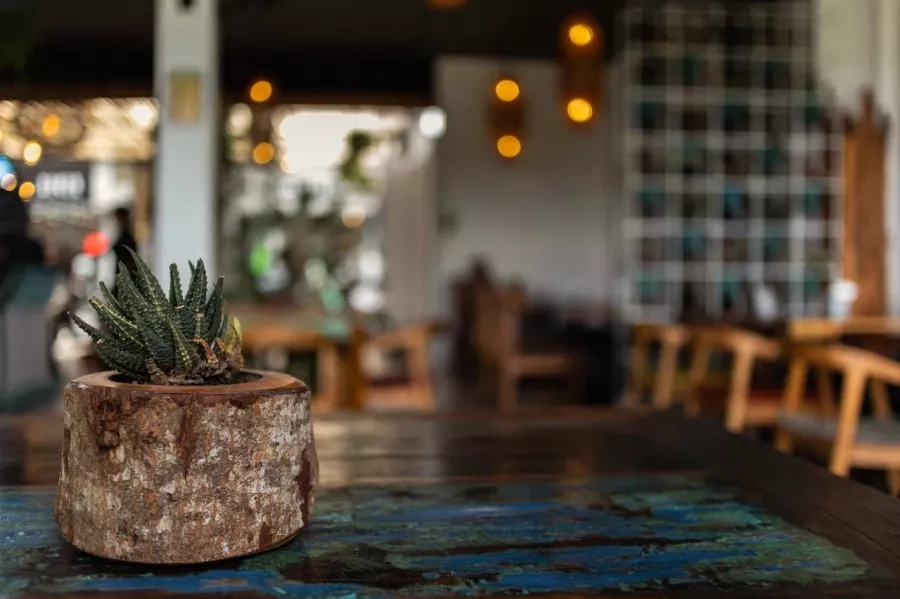 Ресторан District Canggu в Бали: Ресторан, Бизнес-лач, Банкетный зал, Dinner, Restaurant, Food,