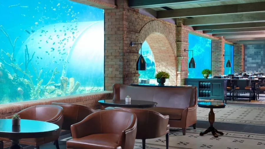 Ресторан Delicioso Bistro & Restaurant в Бали: Dinner, Restaurant, Food, Ресторан, Банкетный зал, Бизнес-ланч,