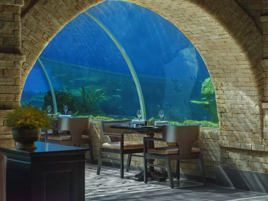 Ресторан Parklife Bali в Бали: Ресторан, Бизнес-лач, Банкетный зал, Dinner, Restaurant, Food,