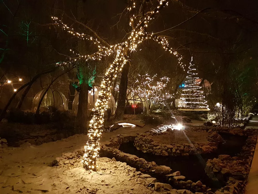 Ресторан El Garden в Ереване: Ресторан, Веранда, Под открытым небом, Вкусно поесть, Для особых случаев, Детская комната, Для свиданий, Особенная атмосфера, Заказать банкет,