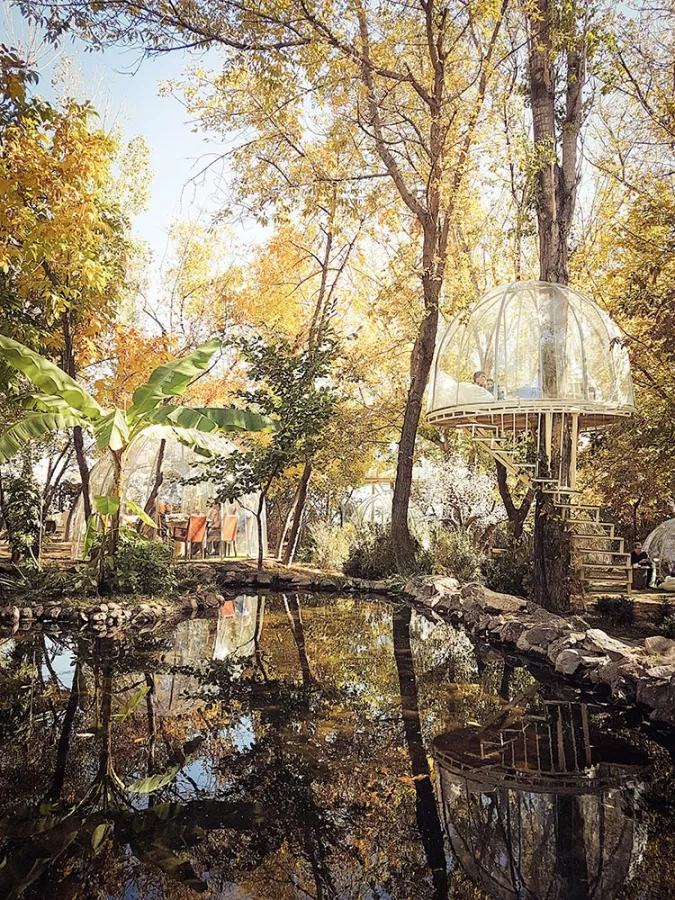 Ресторан El Garden в Ереване: Ресторан, Веранда, Под открытым небом, Вкусно поесть, Для особых случаев, Детская комната, Для свиданий, Особенная атмосфера, Заказать банкет,