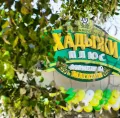 Миниатюра 7