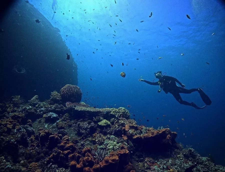 Центр Дайвинга Tulamben Scuba в Бали: Дайвинг, Акваланг, Инструкторы, Diving, Scuba doving, Instructors, Snorkeling , Сноркелинг,