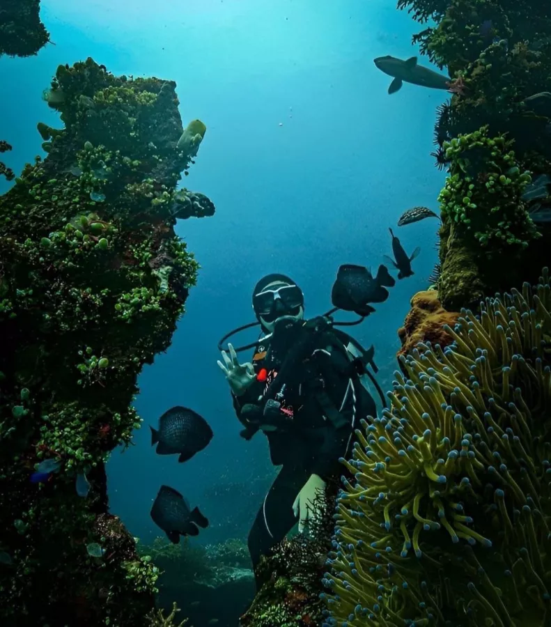 Центр Дайвинга Tulamben Scuba в Бали: Дайвинг, Акваланг, Инструкторы, Diving, Scuba doving, Instructors, Snorkeling , Сноркелинг,