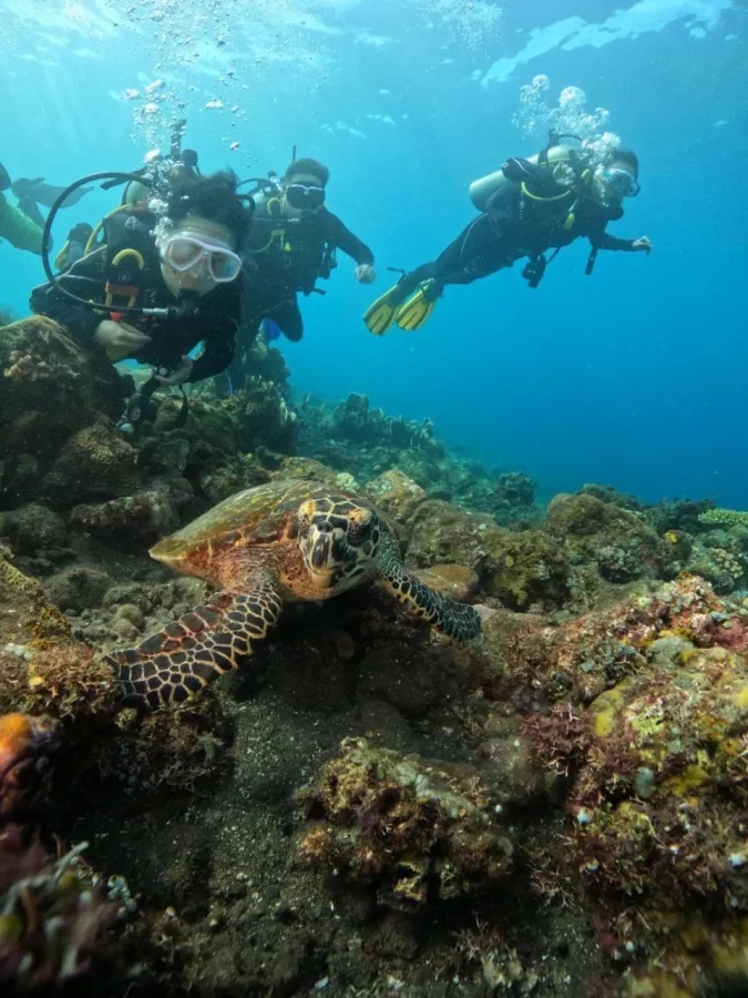Центр Дайвинга Tulamben Scuba в Бали: Дайвинг, Акваланг, Инструкторы, Diving, Scuba doving, Instructors, Snorkeling , Сноркелинг,