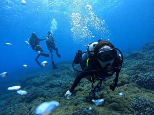 Центр Дайвинга «Neptune Scuba»