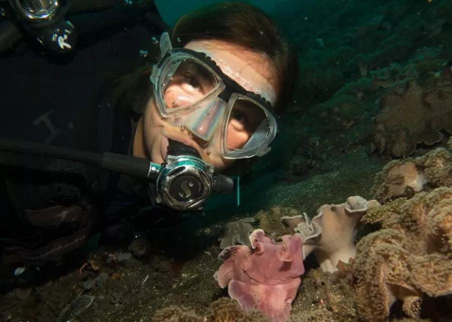 Центр Дайвинга Geko Dive Bali в Бали: Дайвинг, Акваланг, Инструктора, Сноркелинг, Snorkeling , Instructors , Diving, Scuba Diving,