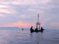 Миниатюра 9