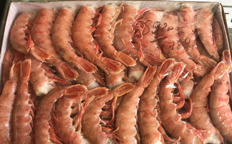 Магазин морепродуктов Морской берег в Екатеринбурге: Рыба, Морепродукты, Фишмаркет, Продуктовый, Покушать, Магазин морепродуктов, Банные закуски, Рыбный магазин,