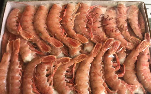 Магазин морепродуктов Морской берег  в  Екатеринбурге