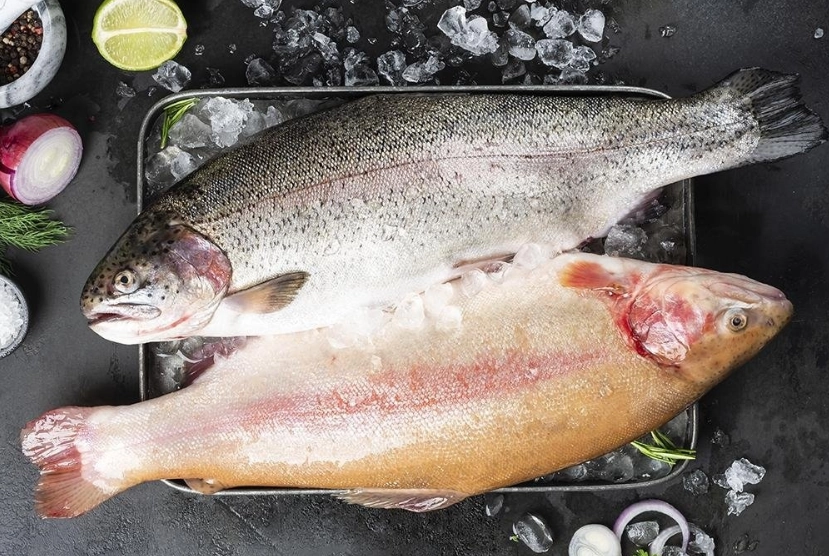 Магазин морепродуктов Crystalfish в Екатеринбурге: Банные закуски, Покушать, Морепродукты, Рыба, Продуктовый, Икорный магазин, Фишмаркет,