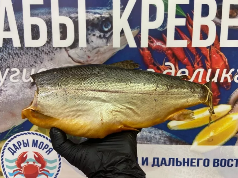 Магазин морепродуктов Дары моря в Екатеринбурге: Покушать, Морепродукты, Рыба, Банные закуски, Продуктовый, Икорный магазин, Рыбный магазин, Фишмаркет,