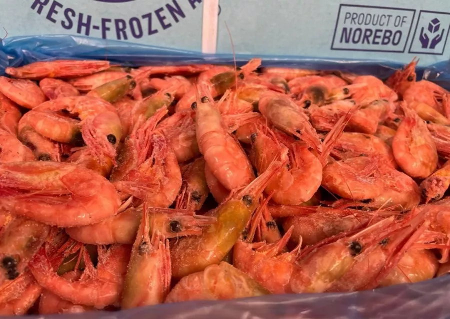 Магазин морепродуктов Black fish в Екатеринбурге: Морепродукты, Рыба, Покушать, Продуктовый, Икорный магазин, Фишмаркет, Банные закуски,