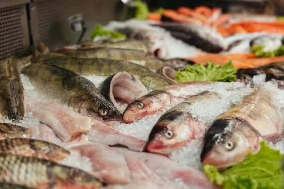 Магазин морепродуктов "Немо"