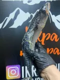 Миниатюра 4