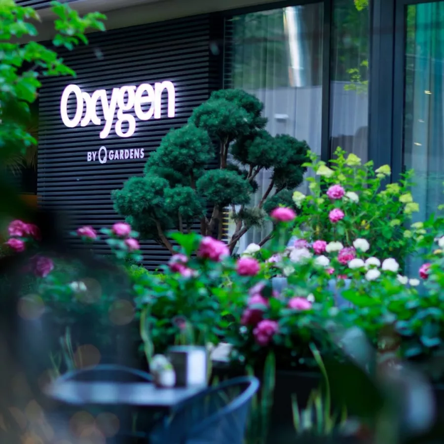 Ресторан Oxygen в Ереване: Европейская кухня, Фьюжн, Алкоголь, Завтраки, Пицца, Веранда, Детская комната, Встретиться с друзьями, Отдохнуть вечером, Живая музыка,