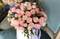 Миниатюра 7