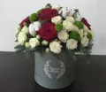 Миниатюра 3