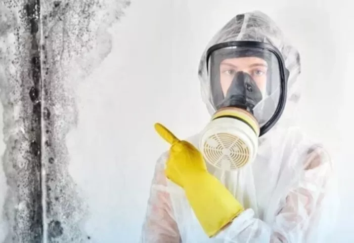 Клининговая компания "Калининград"