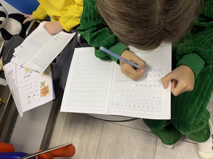 Международная языковая школа ALS Language School на Варшавском шоссе в Москве: Языковая Школа, Иностранный Язык, Английский, Немецкий, Французский, Испанский, Китайский, Учебный Центр, Курсы,