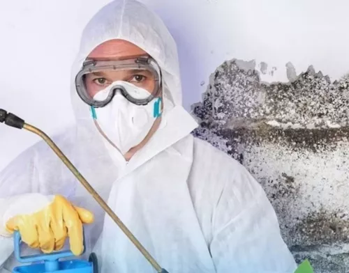 Клининговая компания Зелёное Яблоко  в  Санкт-Петербурге